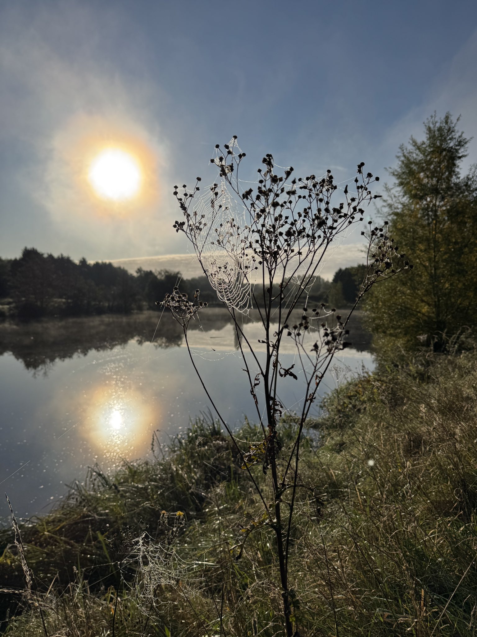 Soleil et rythme circadien