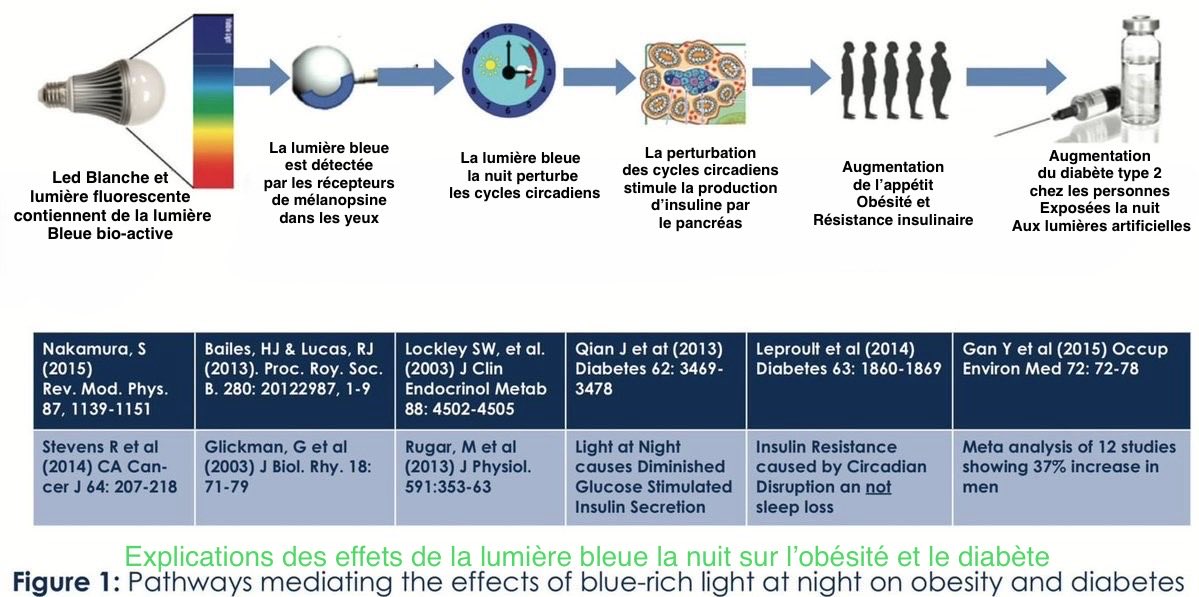 Exposition à la lumière bleue